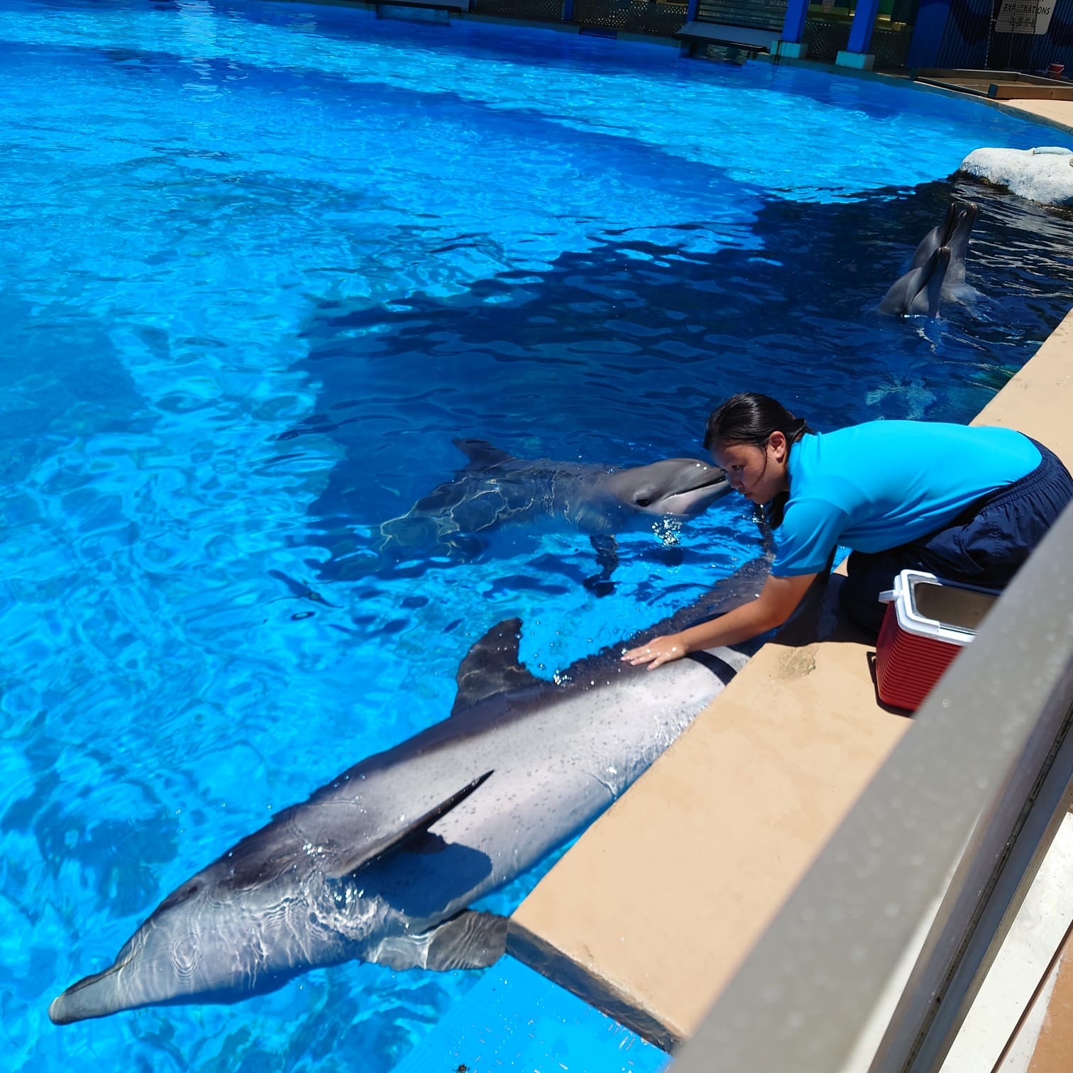 Cissy CHOW Intern at Ocean Park Hong Kong