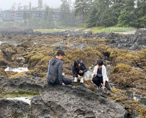 Joe POON Summer exchange at University of British Columbia (2022-23 Summer)